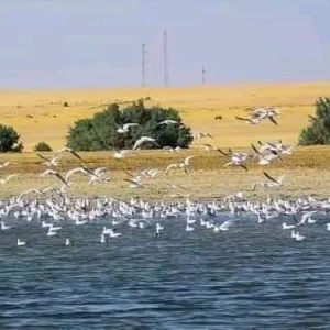 عرض الإقامة 3 ايام 2 ليلة