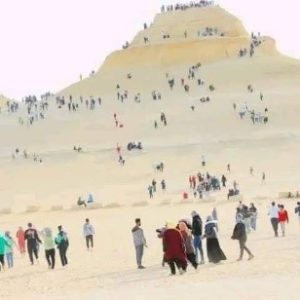 عرض السفارى