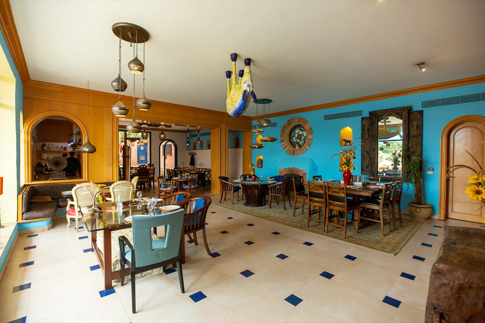 blue-donkey-res.-1 (1)