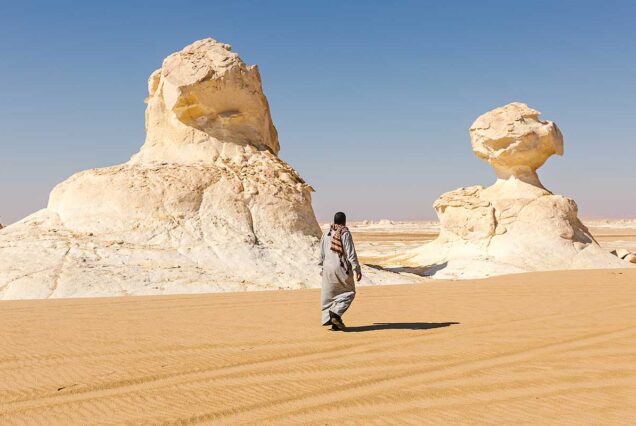 Cairo Desert Adventure